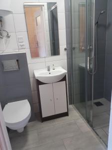 La salle de bains est pourvue de toilettes, d'un lavabo et d'une douche. dans l'établissement Alga, à Sarbinowo