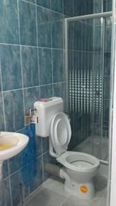 ein Bad mit einem WC und einem Waschbecken in der Unterkunft Casa albastră in Marghita