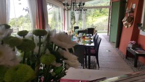 Zahrada ubytování B&B POGGIO CAIAR