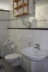 a bathroom with a sink and a toilet and a mirror at Familienfreundliche Ferienwohnung für 6 Personen in Lutzerath