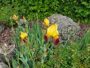 Fotografie z fotogalerie ubytování Hôtel-Logis La Coraline v destinaci Gannat + 24 fotografií