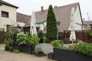 un jardín con sombrillas y plantas frente a una casa en Landhotel Wolfschlugen, en Wolfschlugen