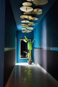 une chambre avec une plante en pot et un mur bleu dans l'établissement Numa Marrakech, à Marrakech