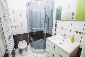 a bathroom with a shower and a sink and a toilet at Novák apartman Szeged in Szeged