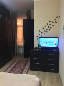 TV a/nebo společenská místnost v ubytování Guest House Nana in Mestia