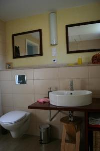 a bathroom with a sink and a toilet and a mirror at Ferienhaus Kaiser in Branchewinda