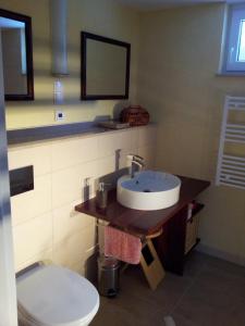 a bathroom with a white toilet and a sink at Ferienhaus Kaiser in Branchewinda