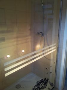 a shower with a glass door in a bathroom at Ferienhaus Kaiser in Branchewinda