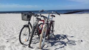 Jazda na bicykli v okolí ubytovania Apartament Admiralski