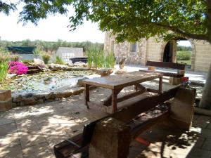 A garden outside Villa Martina nel Salento
