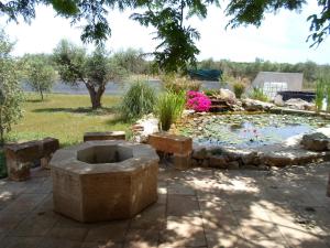 A garden outside Villa Martina nel Salento