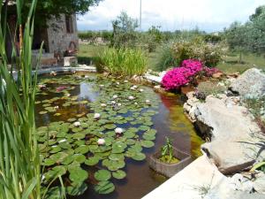 A garden outside Villa Martina nel Salento