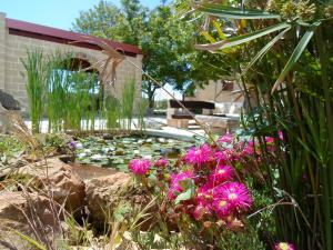 A garden outside Villa Martina nel Salento
