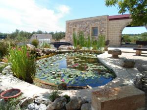 A garden outside Villa Martina nel Salento