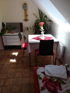 Fotografie z fotogalerie ubytování Homestay Svatá v destinaci Svatá