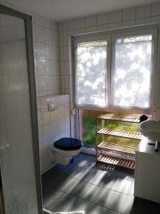 a bathroom with a toilet and a window at Piratennest- Kojen in Dranske