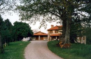 a house with a tree and a gravel road at Agriturismo Fontandrone in Pieve Santo Stefano