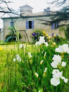 un campo de flores frente a una casa en Domaine Mas Pigné, en Sauve