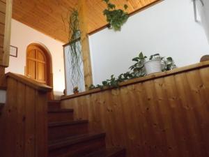 Foto dalla galleria di Hévízi fecskefészek a Hévíz