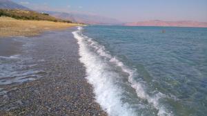 Táj Show holiday homes közelében