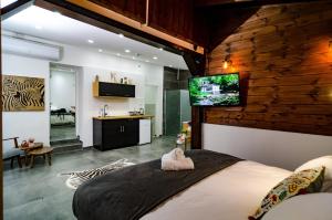 TV a/nebo společenská místnost v ubytování Kinneret Lodging