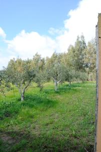 A garden outside Tra Mare e Monti
