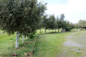 A garden outside Tra Mare e Monti