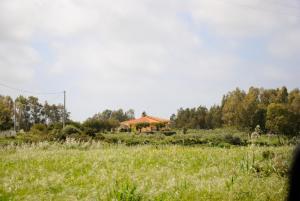 Táj az apartman közelében