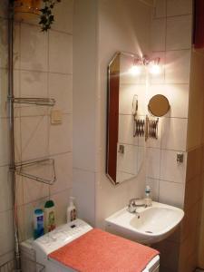 Baño pequeño con lavabo y espejo en Dresdner Ferien Apartment, en Dresden