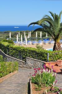 ein Resort mit einem Strand mit Stühlen und einer Palme in der Unterkunft Residence Belvedere in Capoliveri