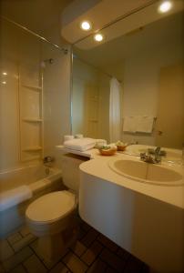 a bathroom with a toilet and a sink and a mirror at Hotel Les Trois Soeurs in Perce +31 photos