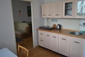 a kitchen with a sink and a counter top at Apartment in the City Centr in Teplice
