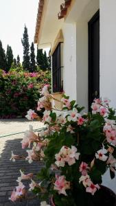 Zdjęcie z galerii obiektu Banus Lodge w Marbelli