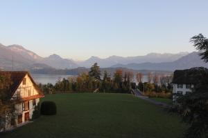 ein großer grüner Hof mit einem See und Bergen im Hintergrund in der Unterkunft Gasthaus zum Kreuz in Luzern