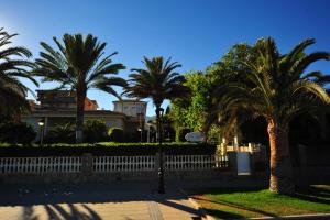 A garden outside Villamar Orange Costa