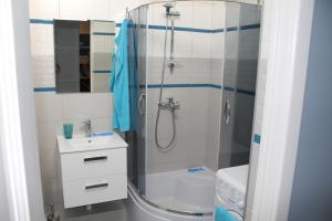スヴェトロゴルスクにあるApartment on Maisky 8のバスルーム(シャワー、洗面台、トイレ付)
