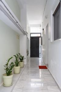 Fotografia z galérie ubytovania Grandma's Chic & Bright Athenian home with a Patio v Aténach