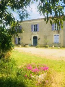 Φωτογραφία από το άλμπουμ του Domaine Mas Pigné σε Sauve