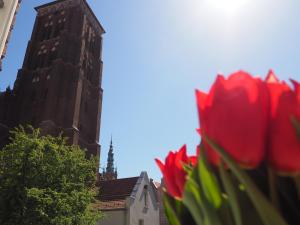 Fotografia z galérie ubytovania Grand Tourist Gemini II v destinácii Gdansk
