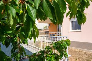 Ein Garten an der Unterkunft Apartment Jusepe