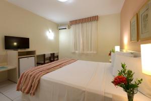 TV a/nebo společenská místnost v ubytování Portobello Park Hotel