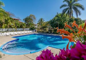 a swimming pool in a yard with palm trees at Hotel Colinas del Sol in Atenas