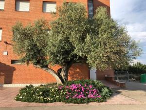 Afbeelding uit fotogalerij van Hotel Restaurant Casa Miquel in Alcarraz