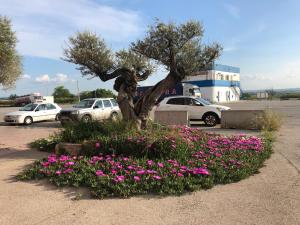 Afbeelding uit fotogalerij van Hotel Restaurant Casa Miquel in Alcarraz