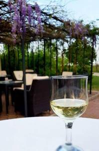 Nápoje v ubytování Iris Hotel
