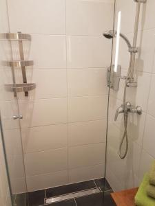 ウィーンにあるModernes kleines Mini Appartmentのバスルーム(ガラスドア付きのシャワー付)