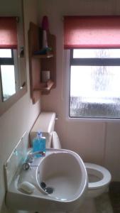 a bathroom with a sink and a toilet at 6 Berth Panel heated on Sealands Baysdale in Ingoldmells