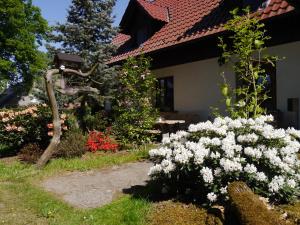 a garden with white flowers in front of a house at Fewo Lutterow in Rheinsberg