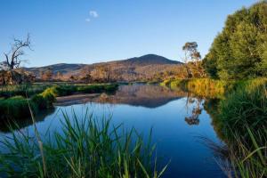 a river with trees and a mountain in the background at Lappi Farm in Berridale