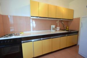 Kuchyň nebo kuchyňský kout v ubytování Apartments Hana